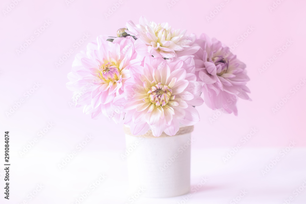 delicate white and pink floral background. bouquet of pink flowers in a vase closeup. holiday card with pink dahlias.