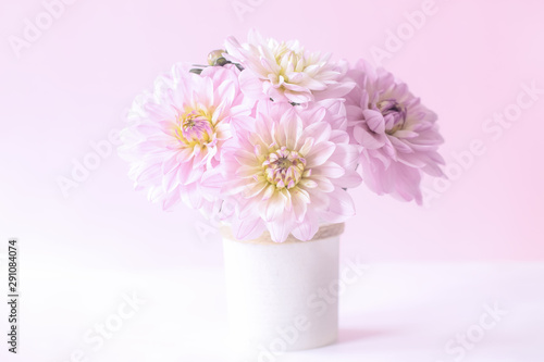 Wallpaper Mural delicate white and pink floral background. bouquet of pink flowers in a vase closeup. holiday card with pink dahlias. Torontodigital.ca