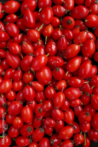 Rosehip berry close-up. Healthy berries.Natural source of vitamin C.Red berries macro