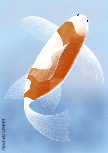 vector illustration of a bird in colour background