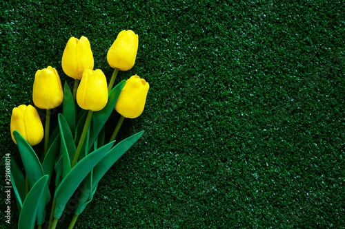 Yellow tulip on green grass...