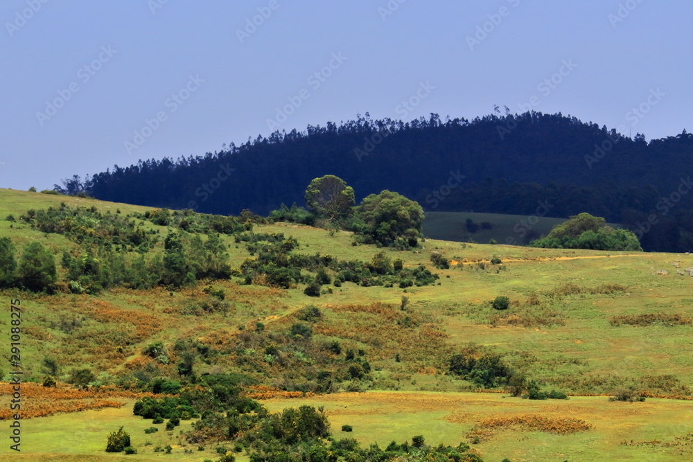 6th mile , a popular shooting spot at ooty in tamilnadu in india Stock