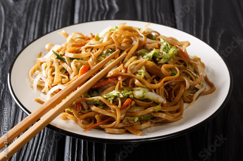 Classic Chinese fried chow mein noodles with vegetables close-up on a plate. horizontal