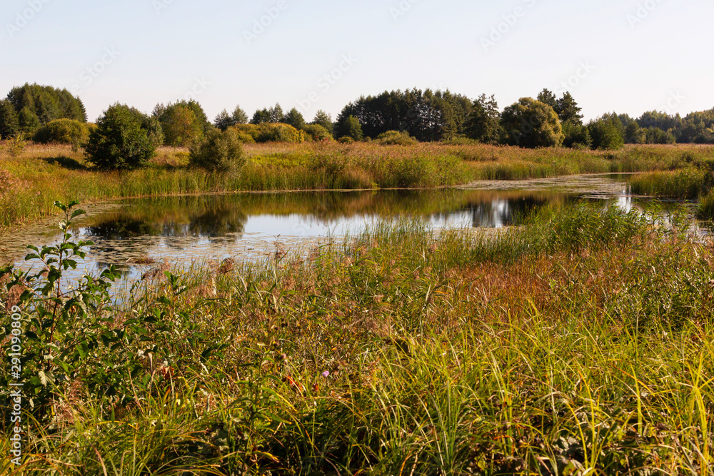 Fototapeta premium Photo of the river in the reeds in the countryside. Calendar idea.