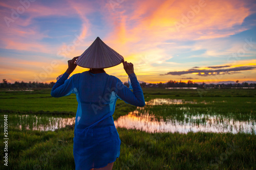 girl in a traditional Vietnamese hat, stands in rice fields in the rays of sunset light