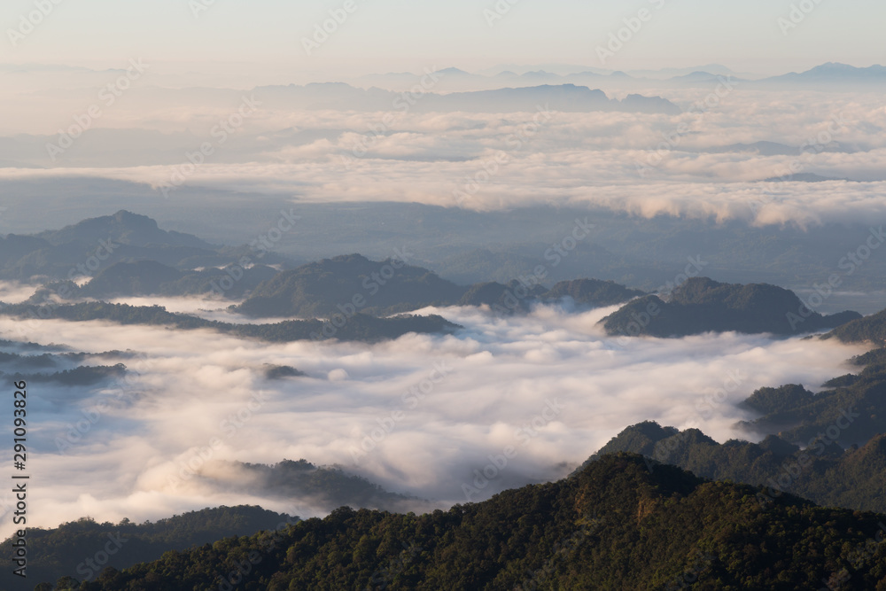 Sea of mist, fog and fluffy cloud mountain valley landscape in Thailand