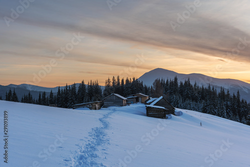Winter landscapes of Ukrainian Carpathians with fog and snow mountain peaks