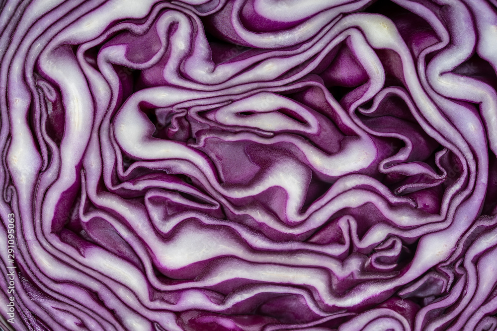Background of the blue cabbage in the cut. Close up, top view. Texture raw purple cabbage Background of the blue cabbage in the cut. Close up, top view. Texture raw purple cabbage