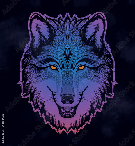 The head of a wolf. Dreamy magic art. Night, nature, wicca symbol. Isolated vector illustration. Great outdoors, tattoo design.
