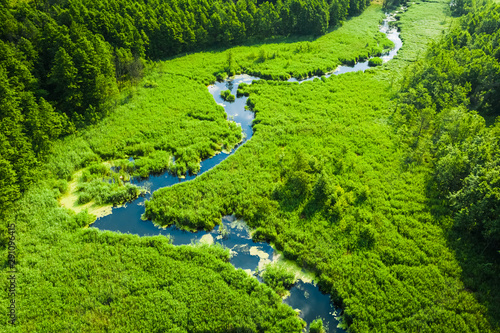 Green swamps and small winding river, view from above photo