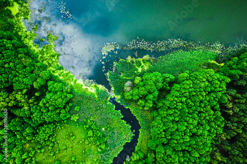 Stampa su tela Strange blooming algae on the lake in summer, flying above