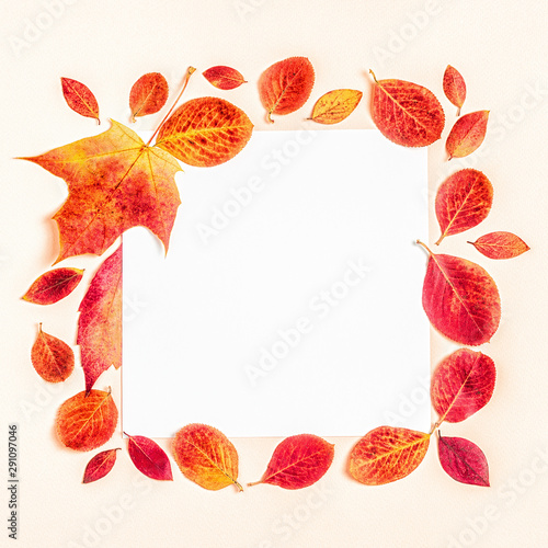 Bright, red leaves on  a pastel background