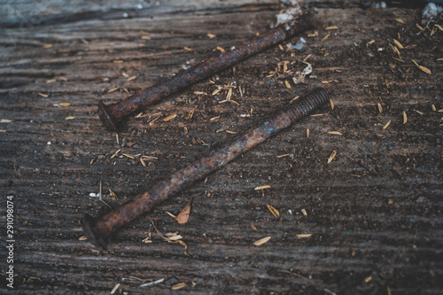 The very old rusty screws on the wood floor
