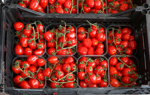 trays of ripe red cherry tomatoes for sale in the local market