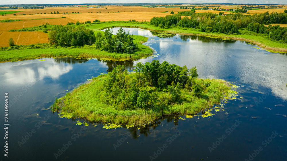 Amazing green swamps and blue lake in summer, aerial view