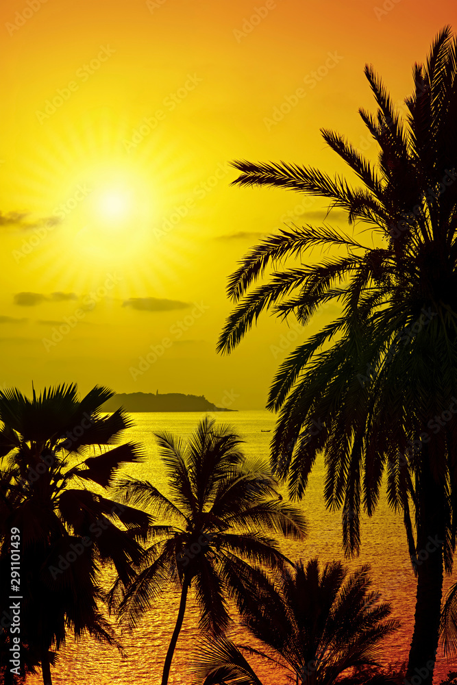 Silhouettes of coconut palm trees facing the Island of Gorée, view from Dakar, Senegal