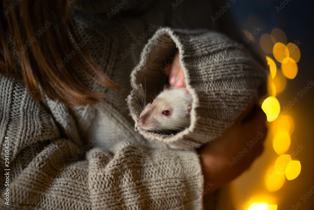 Cozy girl child caresses pet rat, emotional