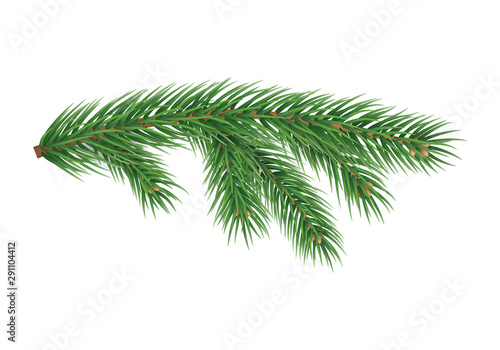 Realistic branch of christmas tree isolated on white background. Merry Christmas and Happy New Year decoration. Green fir tree branch vector illustration. Fresh conifer plant detailed element.