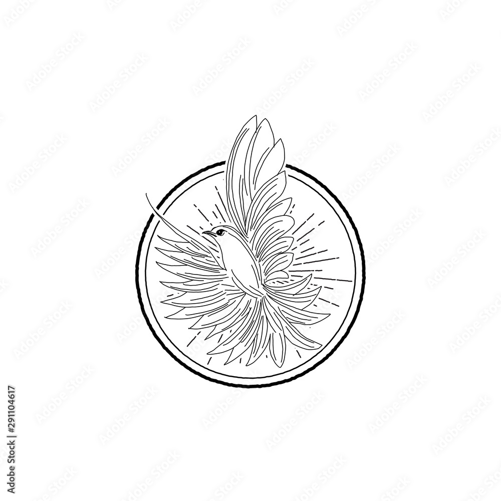 flying dove bird in a circle flying dove bird in a circle
