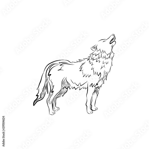 hand drawn wolf
