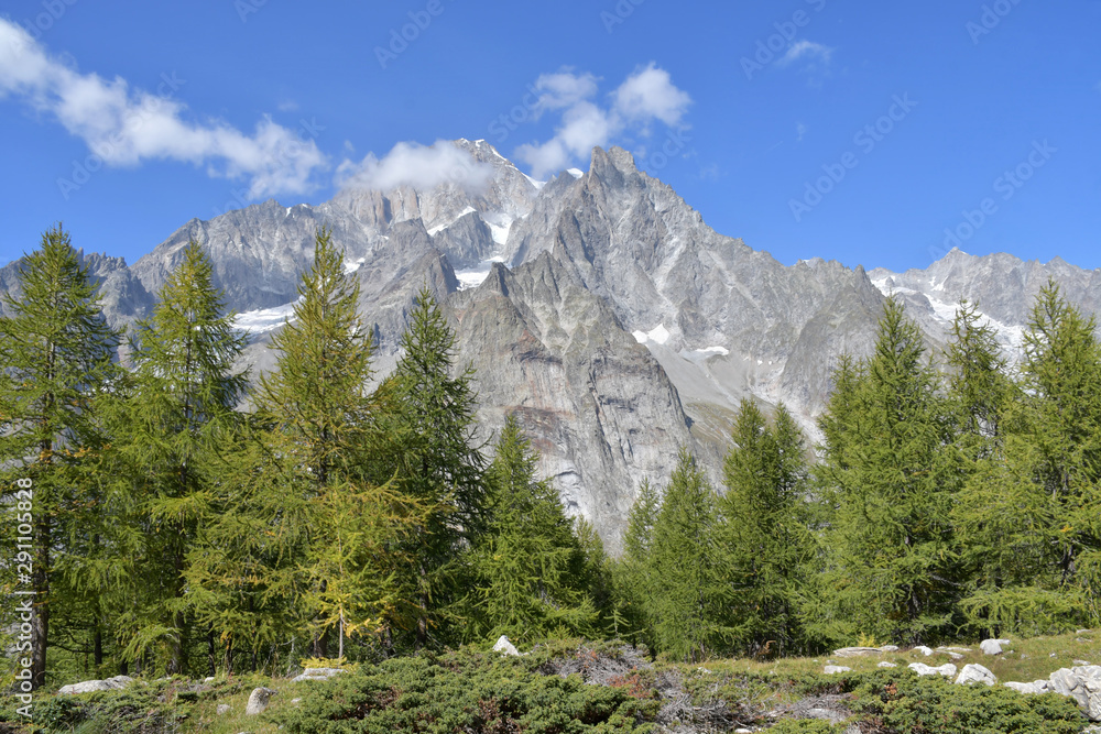Panorama of Mont Blanc and the Aiguille Noire