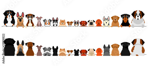 small and large dogs border set, upper body, front and back