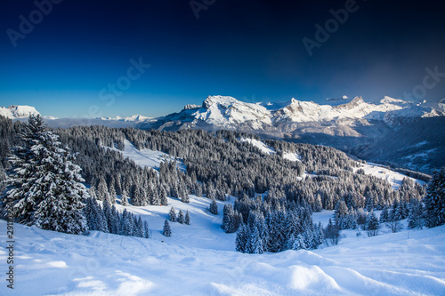 Beautiful view of mountains and snowy fir trees in wintertime.