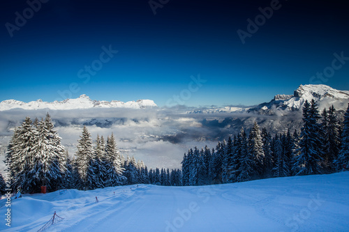 Beautiful view of mountains and snowy fir trees in wintertime.