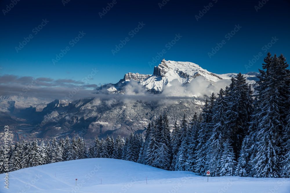 Fototapeta premium Beautiful view Mountains and Fir Trees in wintertime.
