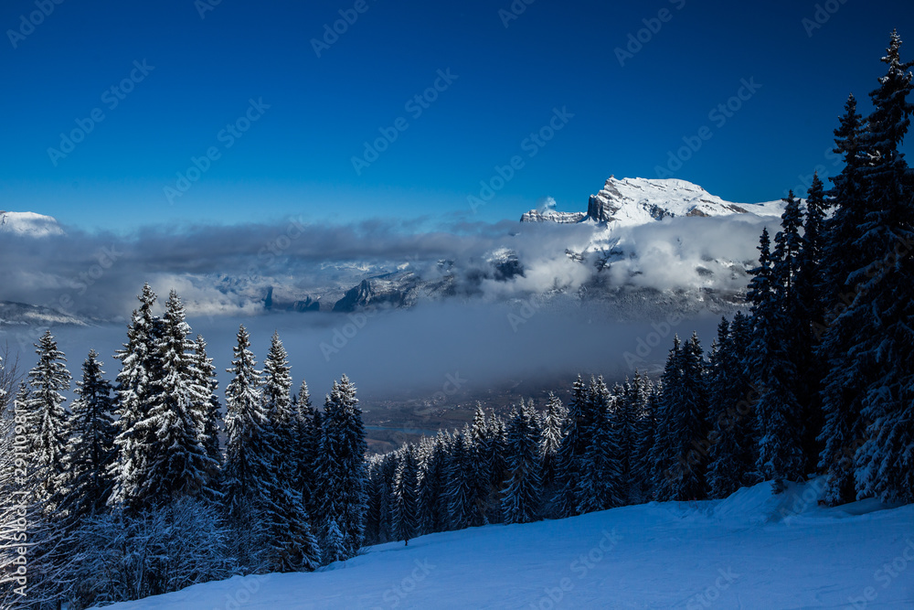 Beautiful view Mountains and Fir Trees in wintertime. 