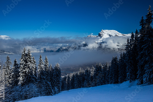 Beautiful view Mountains and Fir Trees in wintertime.  © belyaaa