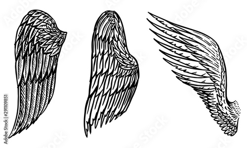 Set of Angel wings in vintage style. Template for tattoo and emblems, t-shirts and logo. Emblem for stickers. Engraved sketch. Vector illustration.