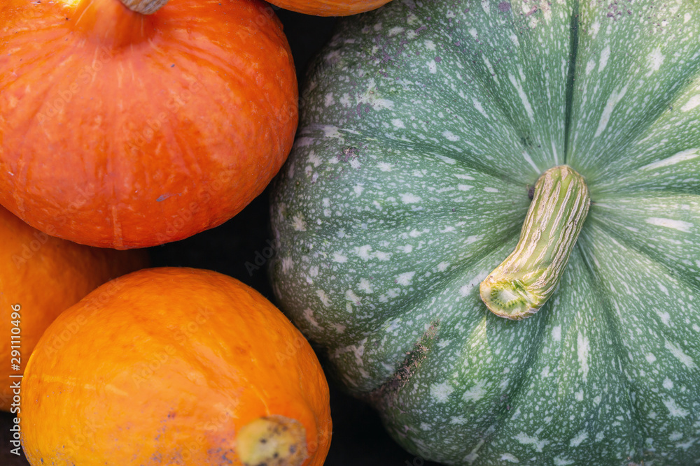 A flat lay photo of colorful pumpkins collected at harvest A flat lay photo of colorful pumpkins collected at harvest