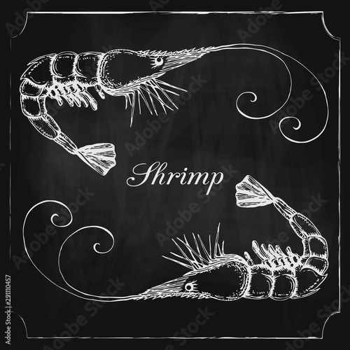 chalkboard seafood menu background with hand drawn shrimp or prawn. blackboard seafood menu concept. background template with realistic shrimp on chalkboard design for shop, restaurant, poster banner