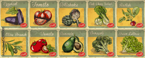 Set of hand drawn vegetables illustration for retro poster.  Radish, eggplant, tomato, broccoli, avocado