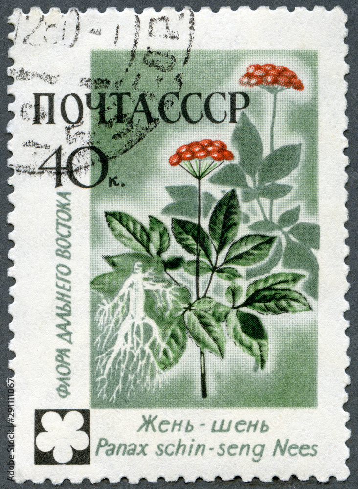 USSR - 1960: shows Ginseng, Asiatic Flowers, 1960 USSR - 1960: shows Ginseng, Asiatic Flowers, 1960