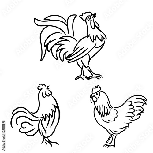 Fotografia Hand drawn set chicken and roster icon
