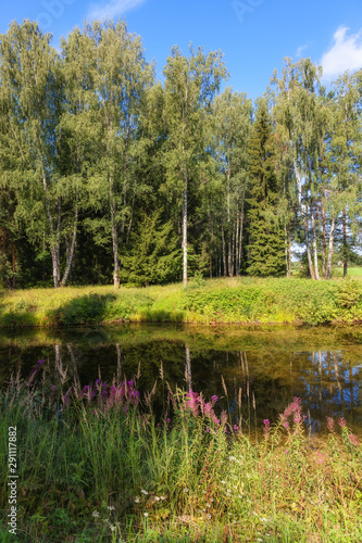 Picturesque rural landscape in the park of the Pavlovsk Palace, St. Petersburg region, Russia