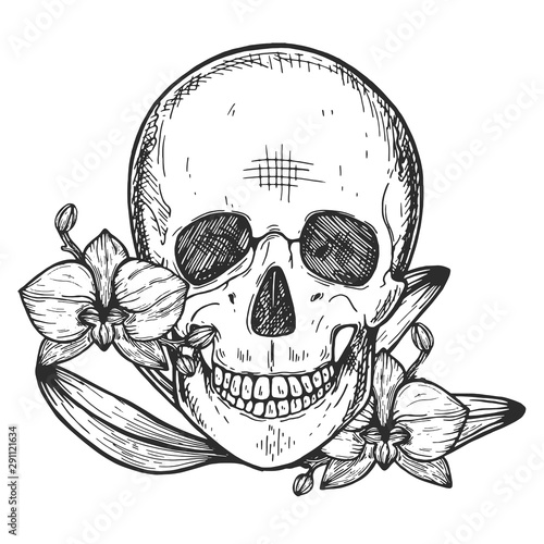 skull in flowers. Skull and orchid. Vectra graphics. Hand drawing. Eps photo