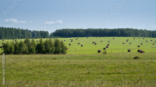 Haystacks in a spacious field