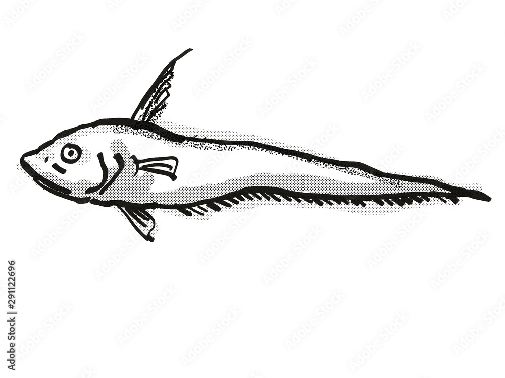 Smallpore Whiptail Australian Fish Cartoon Retro Drawing Smallpore Whiptail Australian Fish Cartoon Retro Drawing