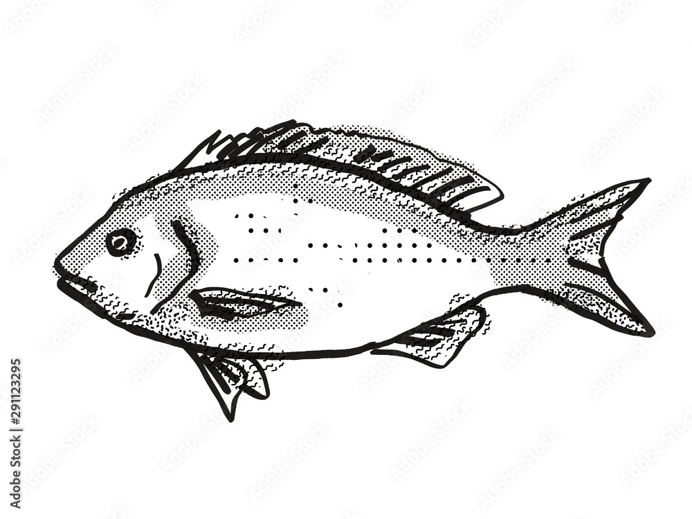 Blue Drummer Australian Fish Cartoon Retro Drawing Blue Drummer Australian Fish Cartoon Retro Drawing