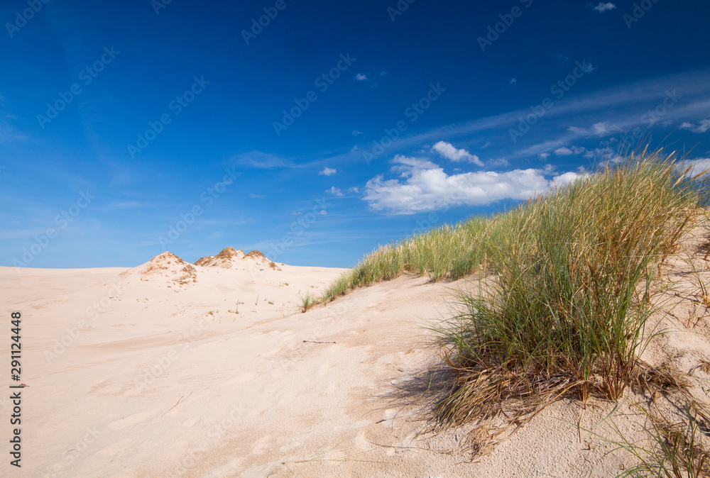 Landscape of the Slowinski National Park, Poland. Landscape of the Slowinski National Park, Poland.