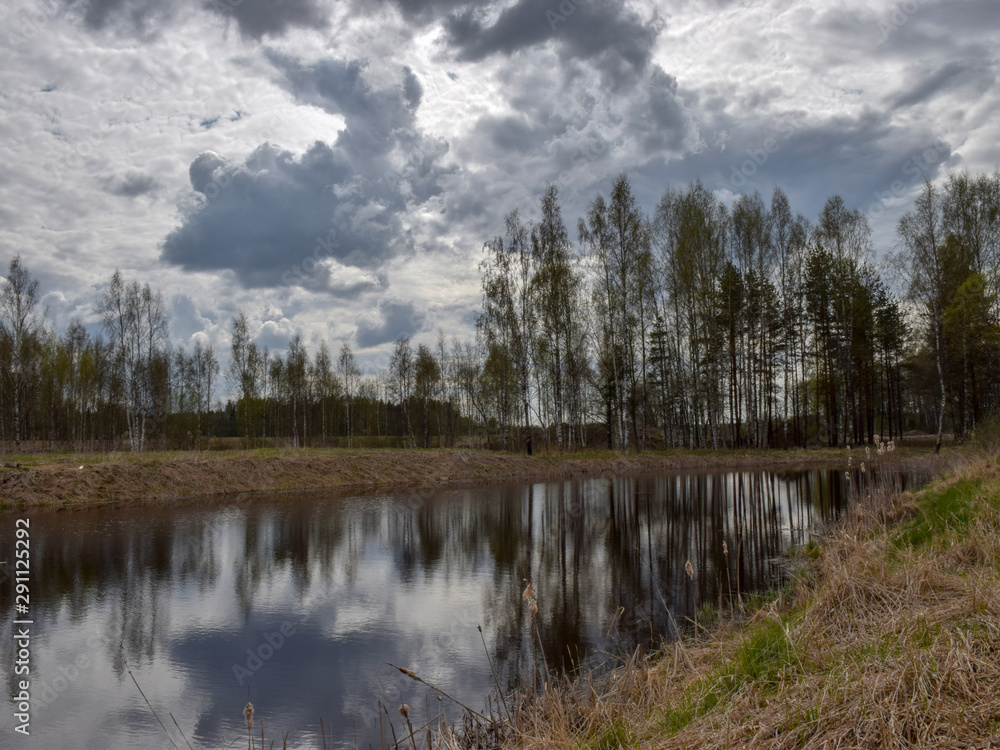 beautiful cloud glare, water like a mirror, springtime silhouettes of bare trees, dry and old grass in the foreground beautiful cloud glare, water like a mirror, springtime silhouettes of bare trees, dry and old grass in the foreground