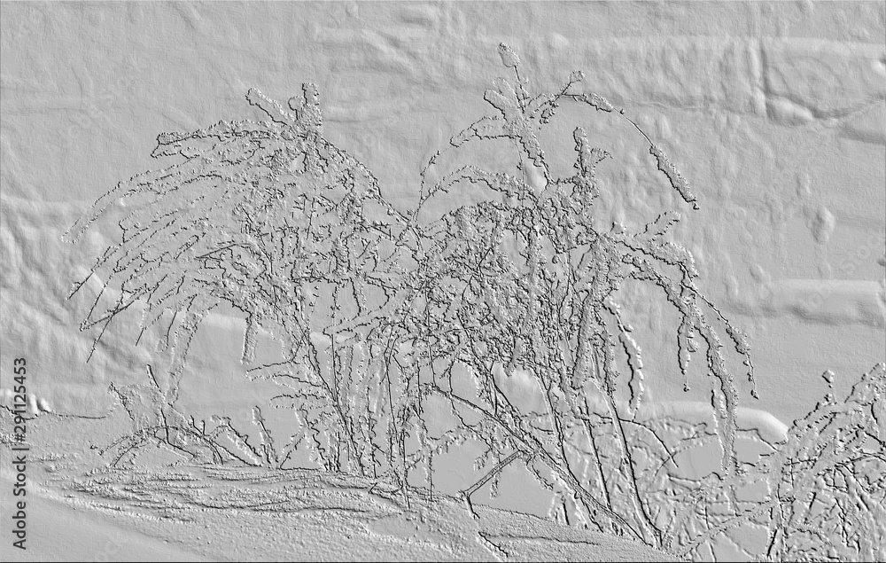 Fototapeta premium tree in snow