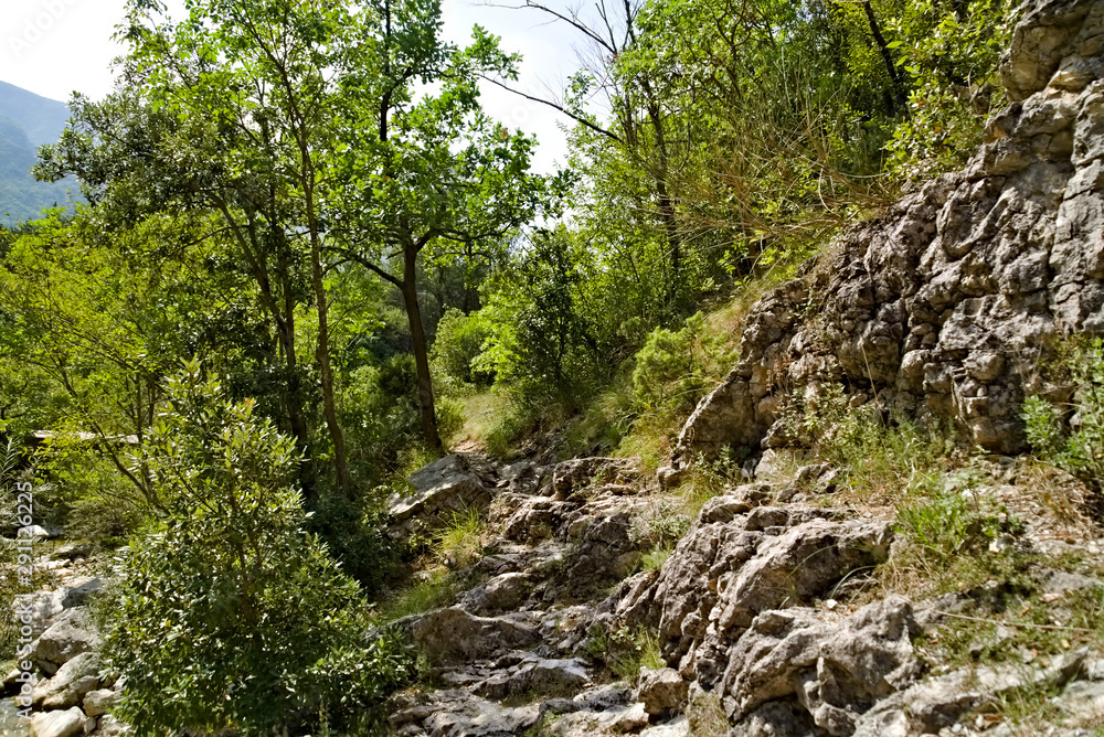 Vista lungo il sentiero 208 fosso dell'eremo a Piobbico Vista lungo il sentiero 208 fosso dell'eremo a Piobbico