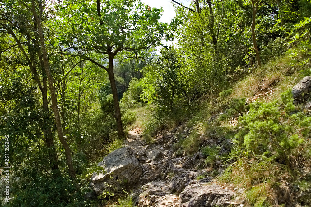 Vista lungo il sentiero 208 fosso dell'eremo a Piobbico Vista lungo il sentiero 208 fosso dell'eremo a Piobbico