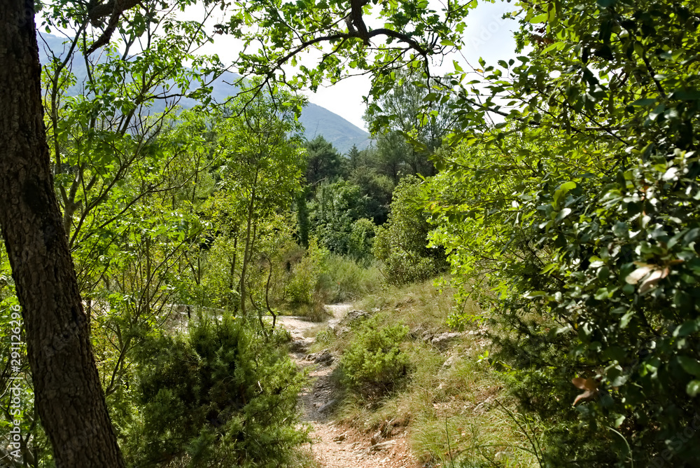 Vista lungo il sentiero 208 fosso dell'eremo a Piobbico Vista lungo il sentiero 208 fosso dell'eremo a Piobbico