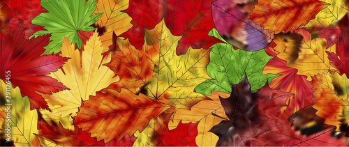 Brown, red and yellow foliage