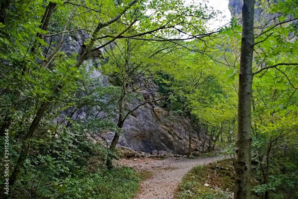 Vista lungo il sentiero 208 fosso dell'eremo a Piobbico Vista lungo il sentiero 208 fosso dell'eremo a Piobbico